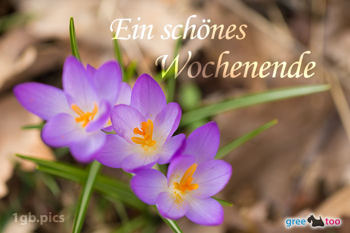 Schönes Wochenende von 1gbpics.com