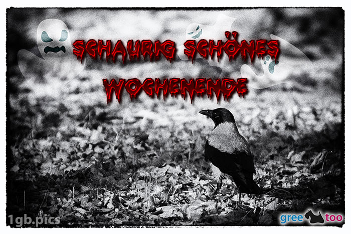 Kraehe Schaurig Schoenes Wochenende