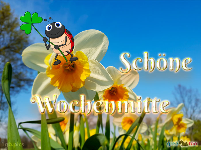 Schoene Wochenmitte