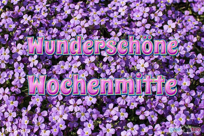 Wunderschoene Wochenmitte