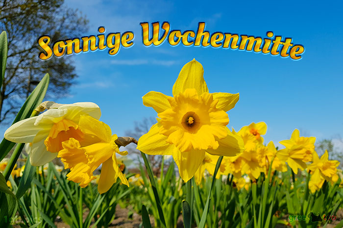 Sonnige Wochenmitte