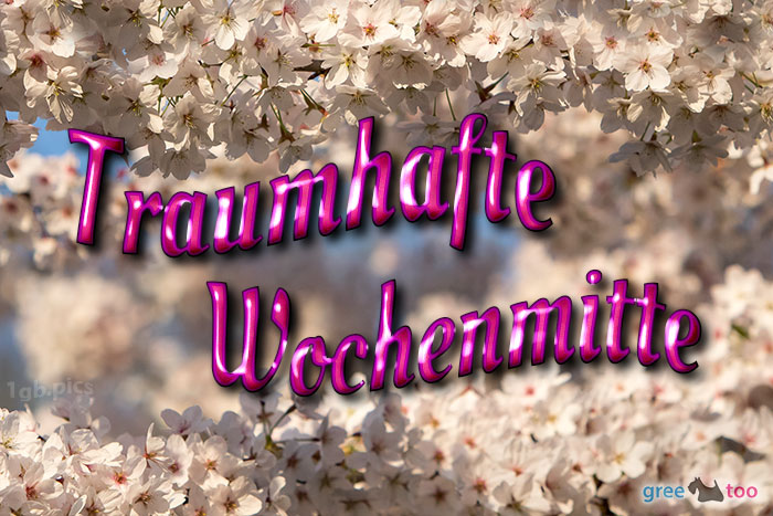 Traumhafte Wochenmitte