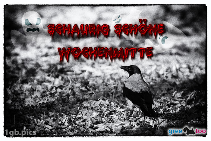 Kraehe Schaurig Schoene Wochenmitte