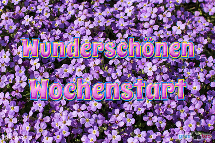 Wunderschoenen Wochenstart