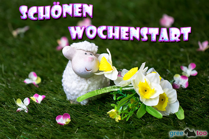 Schönen Wochenstart von 1gbpics.com