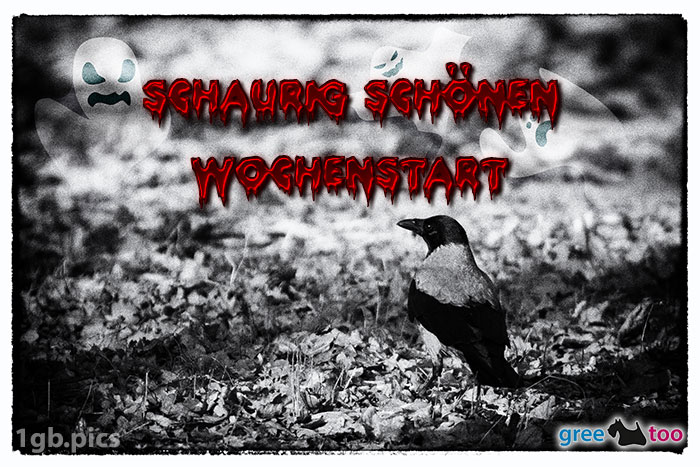 Schönen Wochenstart von 1gbpics.com