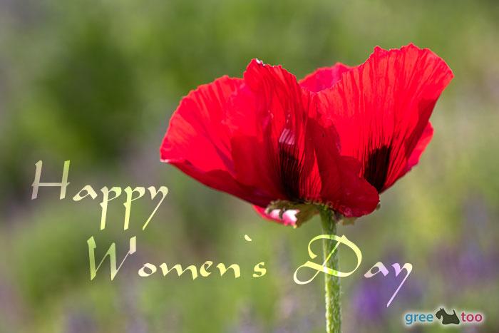 Happy Womens Day von 1gbpics.com