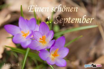 1. September Bilder