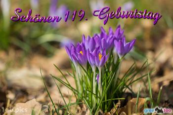 119. Geburtstag Bilder