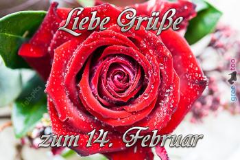 14. Februar Bilder