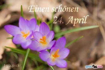 24. April Bilder