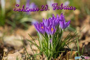 28. Februar Bilder