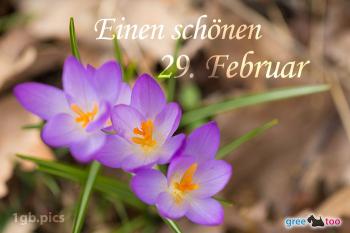 29. Februar Bilder