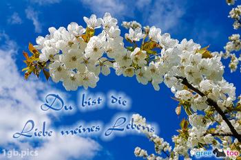 Du bist die Liebe meines Lebens Bilder