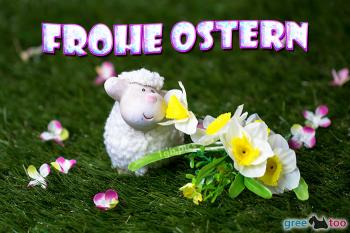 Frohe Ostern Bilder