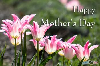 Happy Mother's Day Bilder
