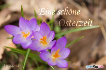 Osterzeit Bilder