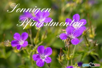 Pfingstmontag Bilder