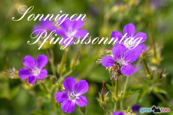 Pfingstsonntag Bilder