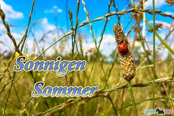 Sommer Bilder