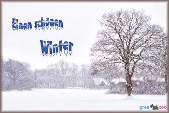 Winter Bilder