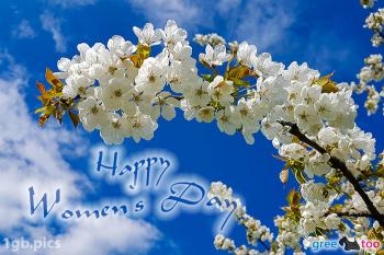 Happy Womens Day Bilder